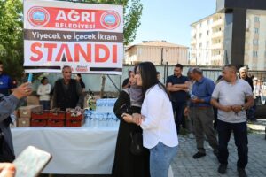 IMG_3377