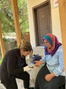 e96f82ab-17e9-4a20-9a61-1f2bc3806817