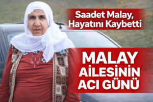 B8F4CBD8-DA03-4E0D-82EC-E78752E84E8C