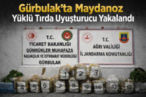 file_00000000349c7243b02631060ebd7e98